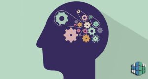 Познавательные