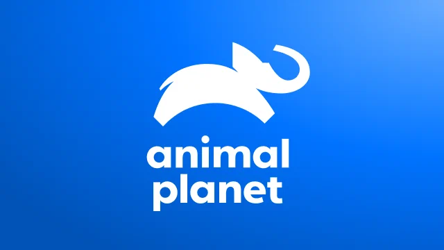 Animal Planet