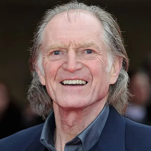 Дэвид Брэдли