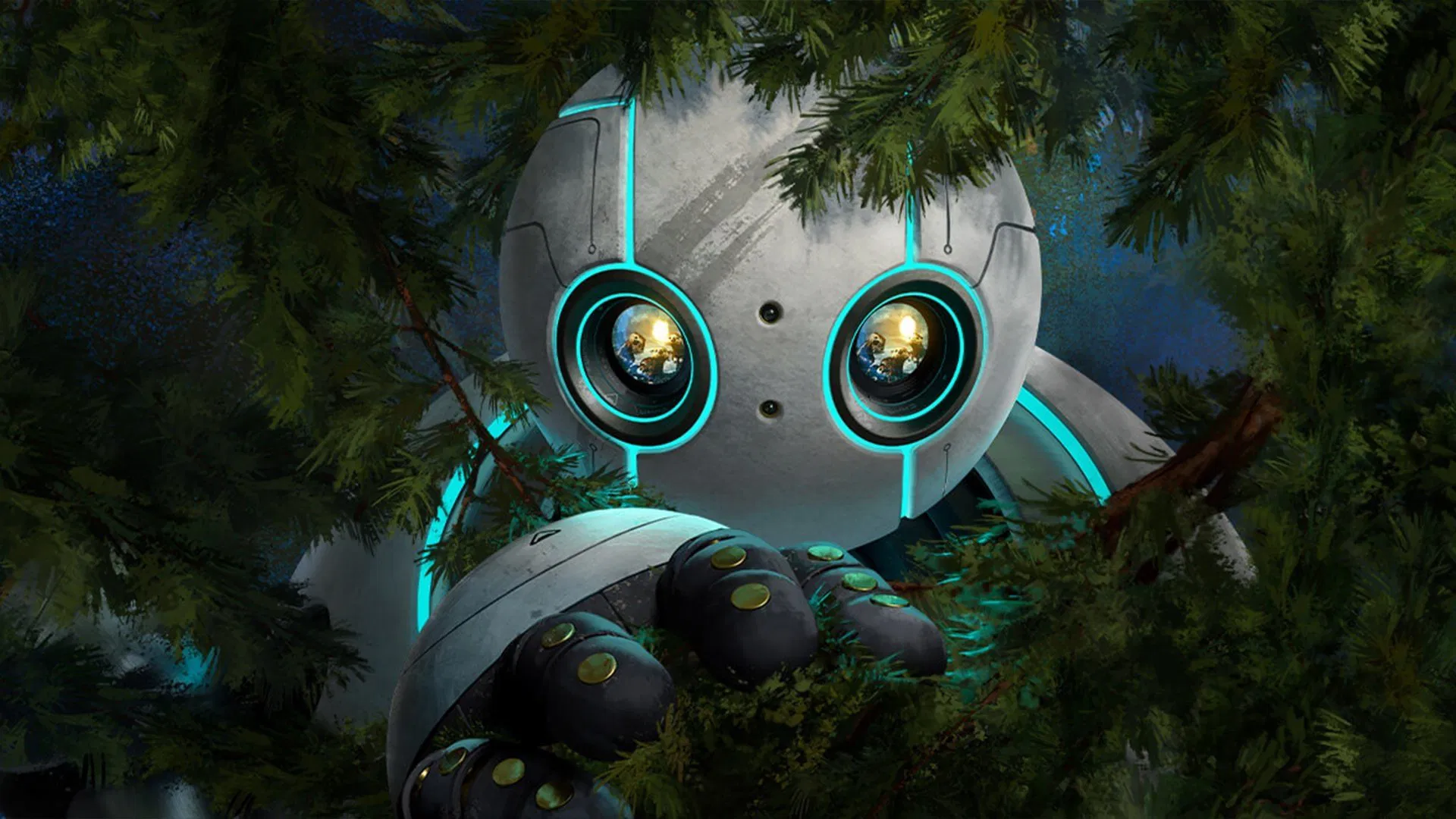 video-section-banner-image