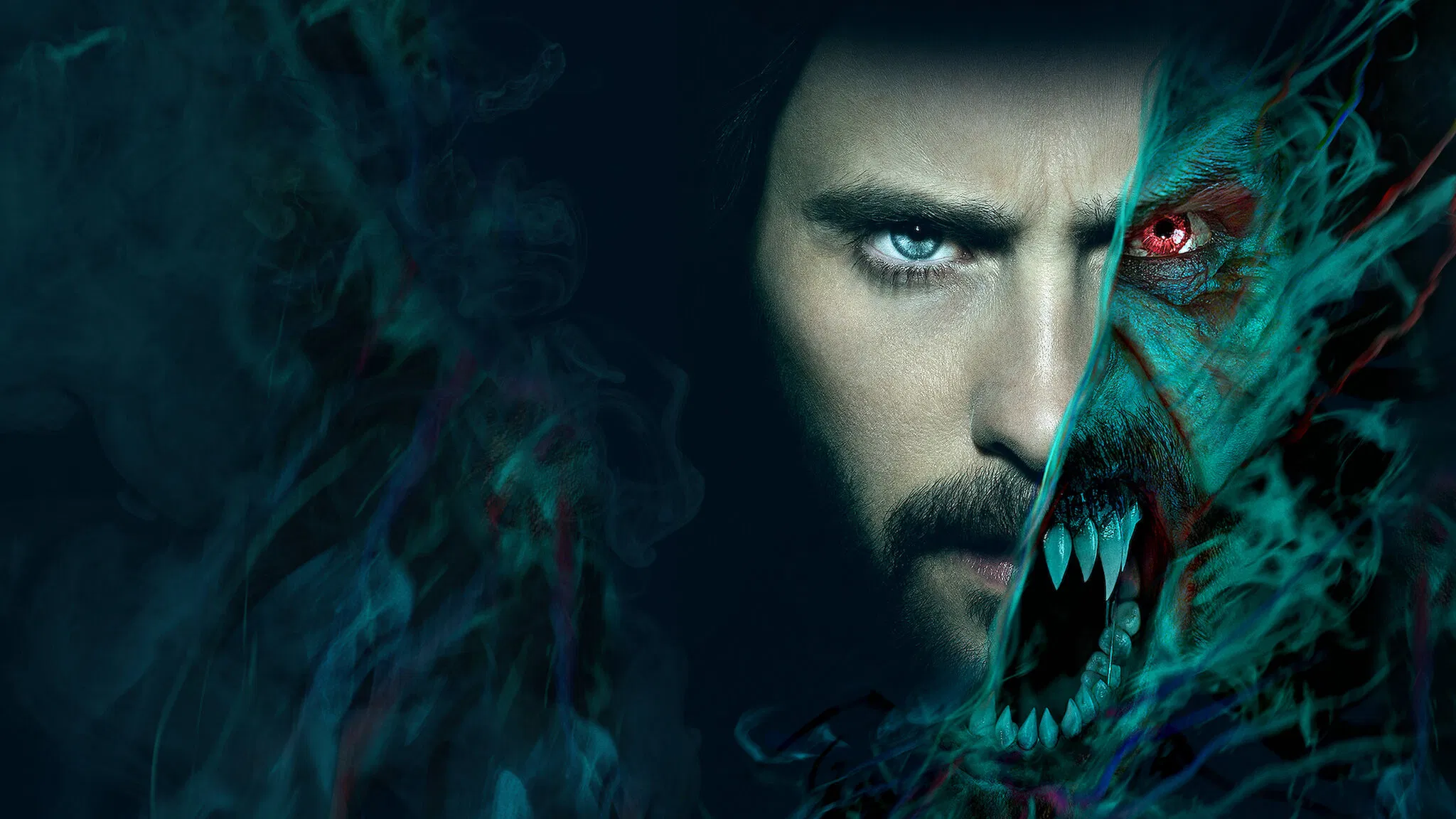 video-section-banner-image