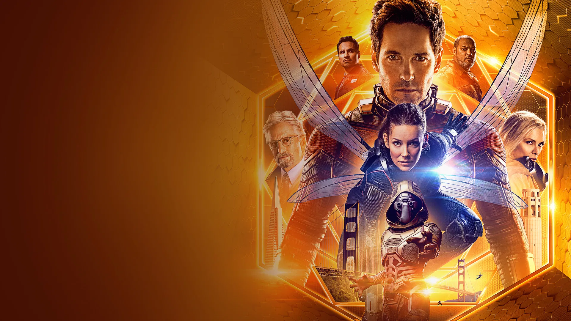 video-section-banner-image