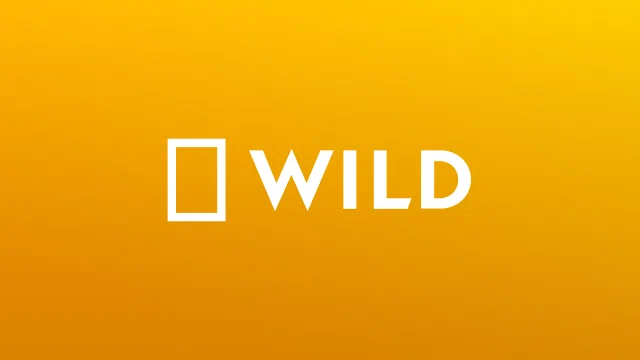 National Geographic Wild