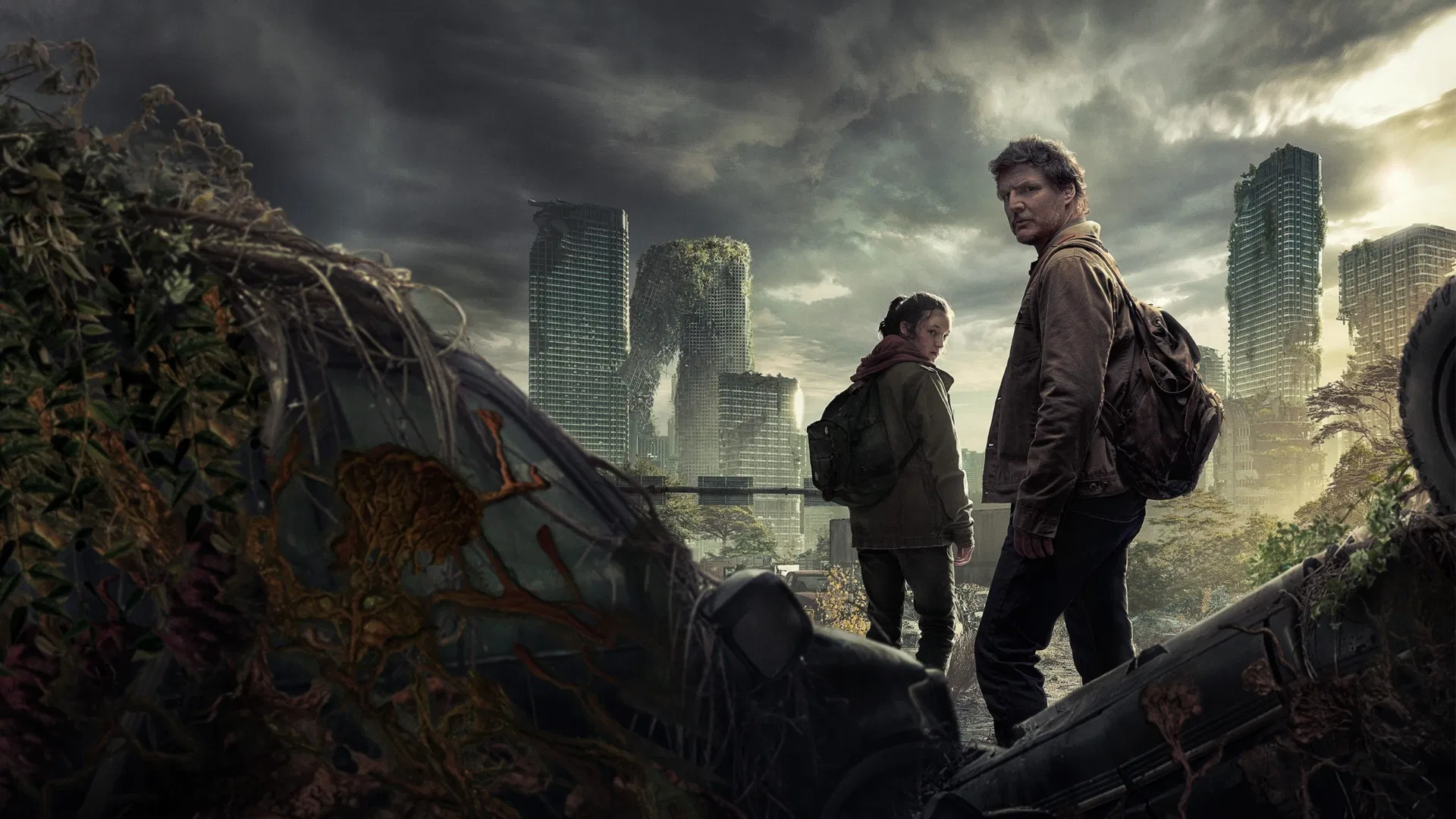 video-section-banner-image