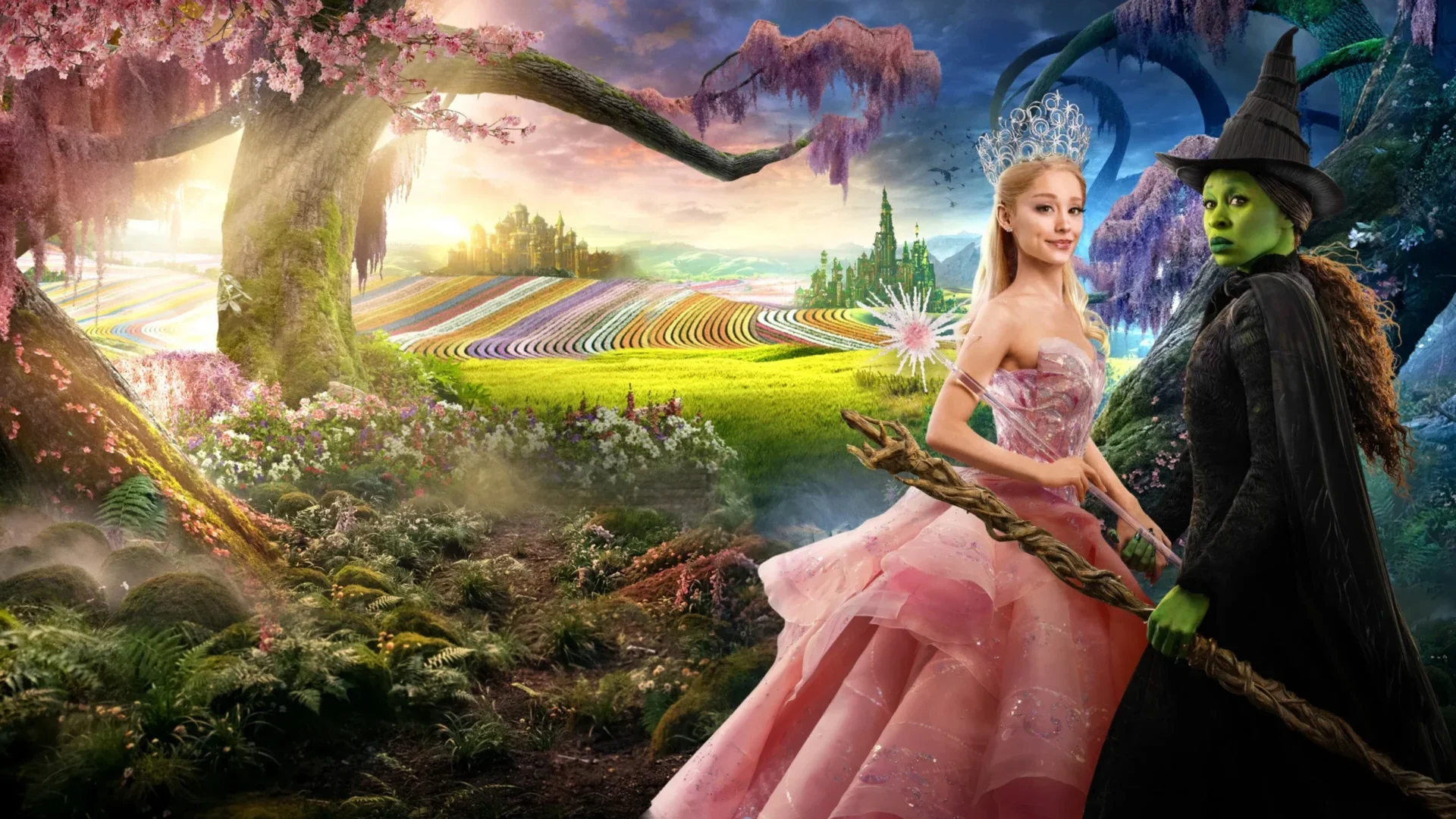 video-section-banner-image