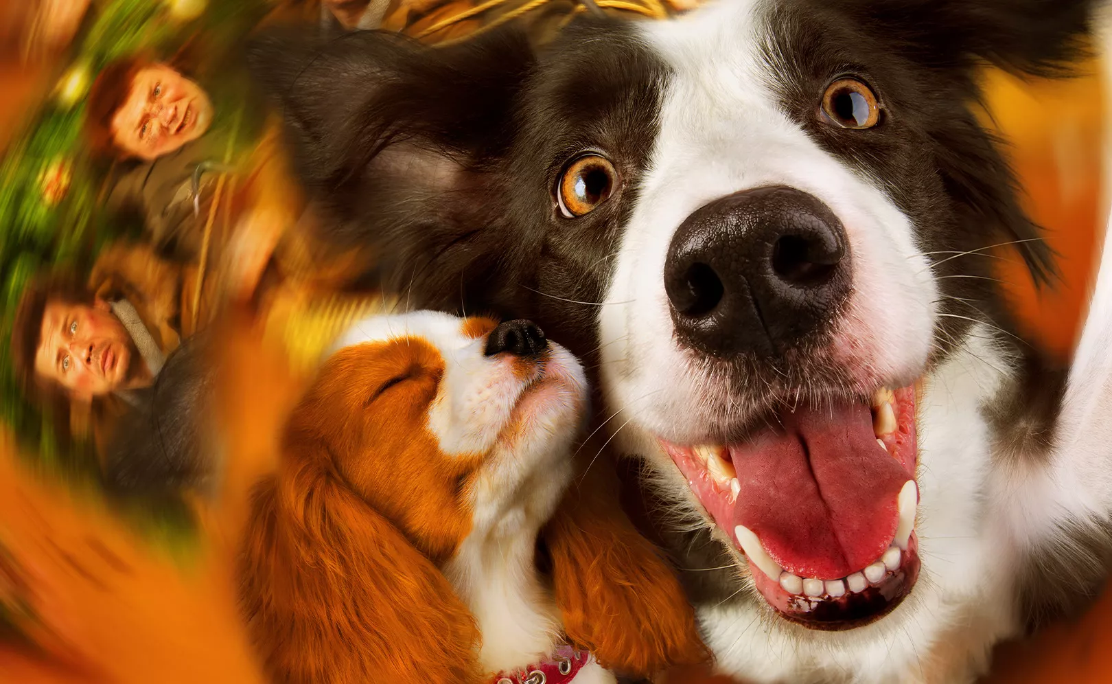 video-section-banner-image