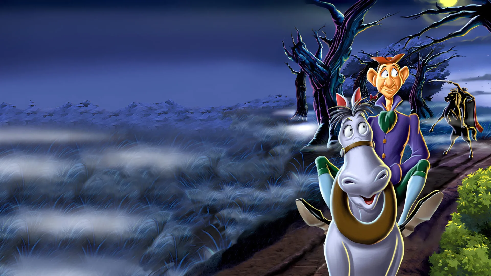 video-section-banner-image