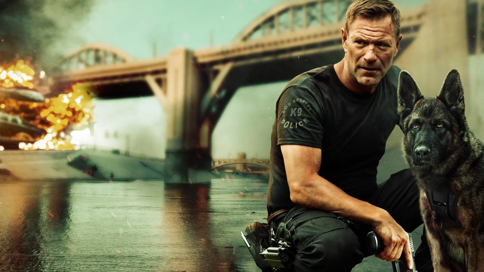 video-section-banner-image