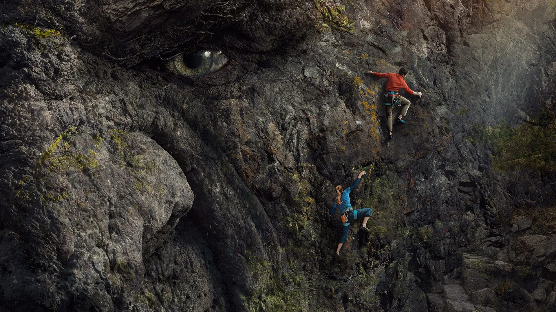 video-section-banner-image