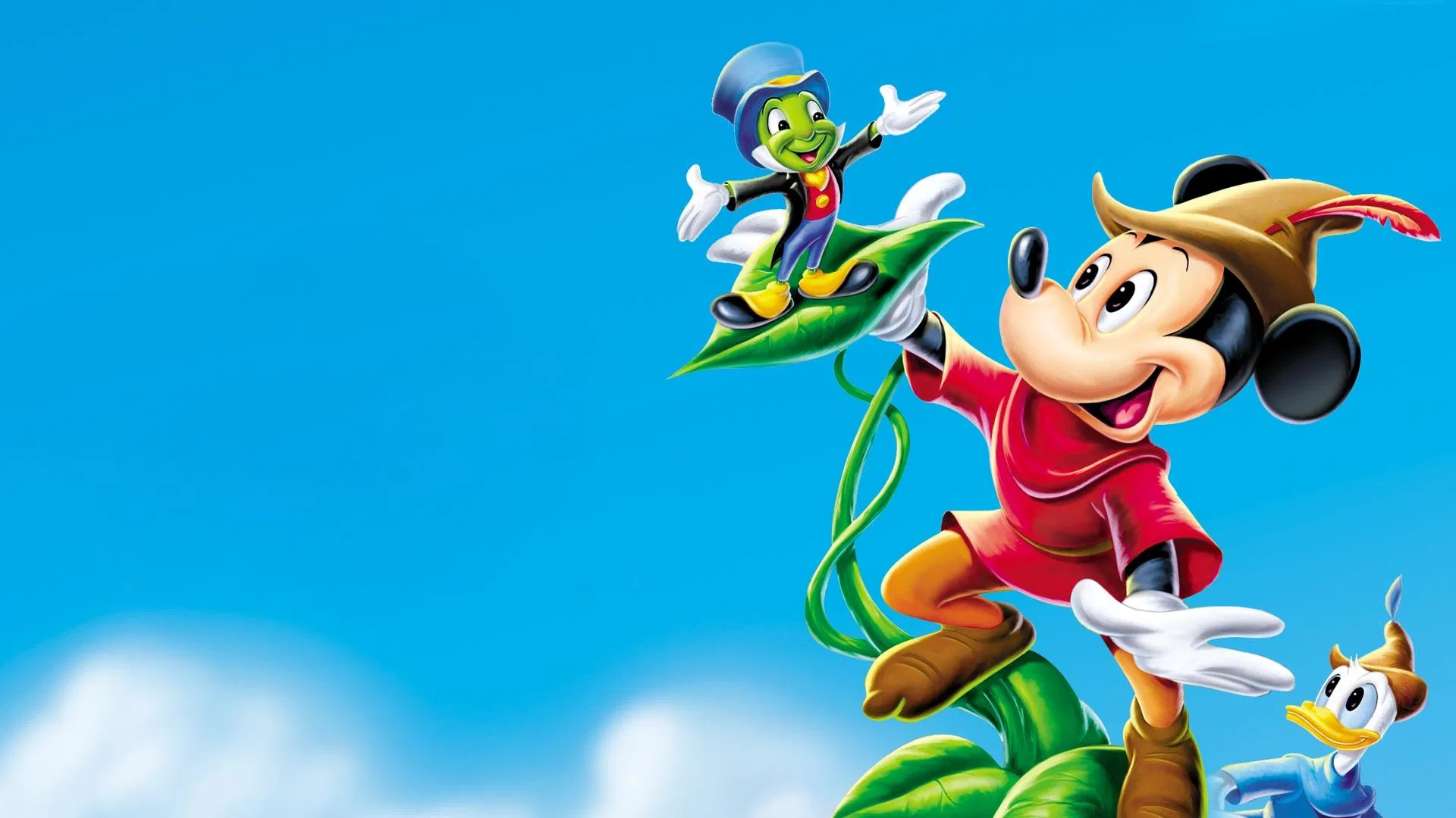 video-section-banner-image