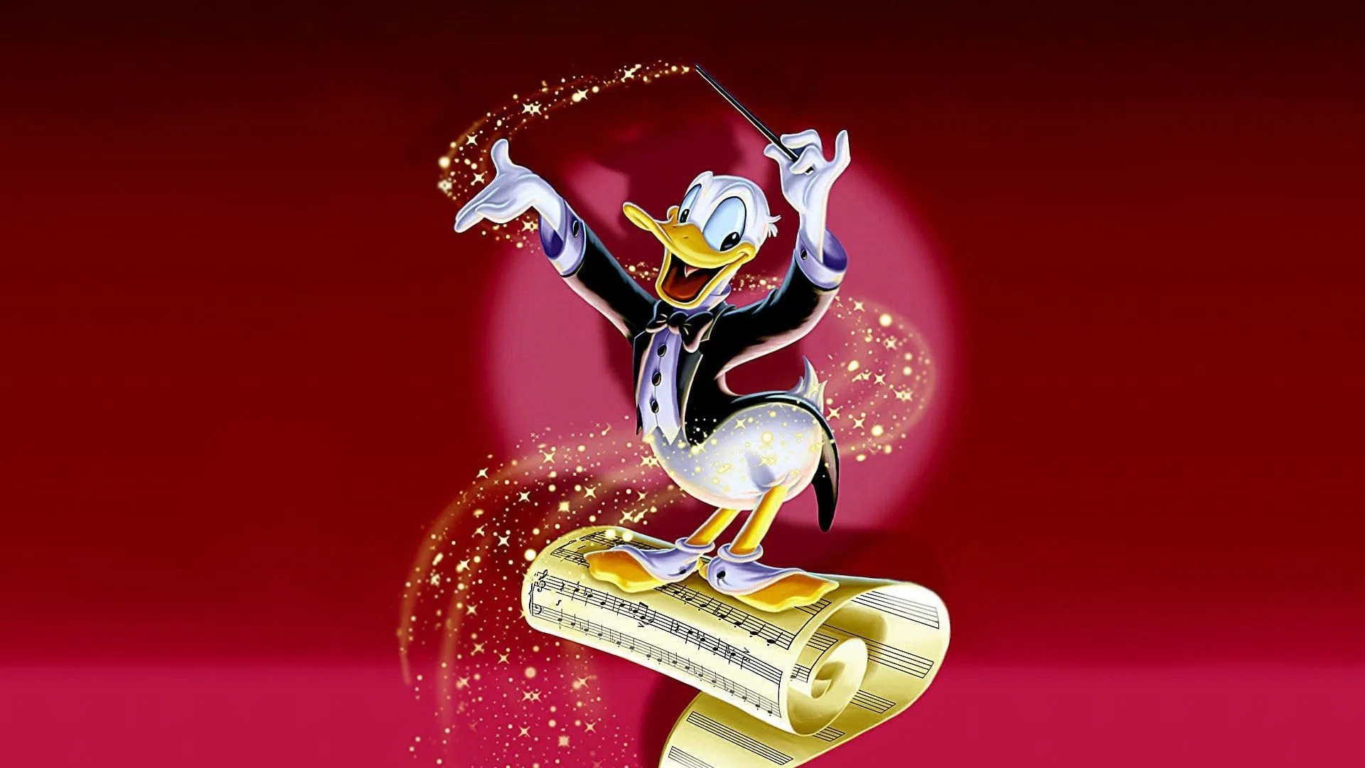 video-section-banner-image